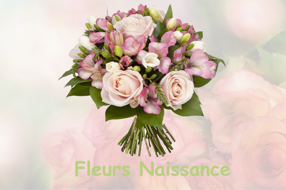 fleurs naissance VITRY-AUX-LOGES