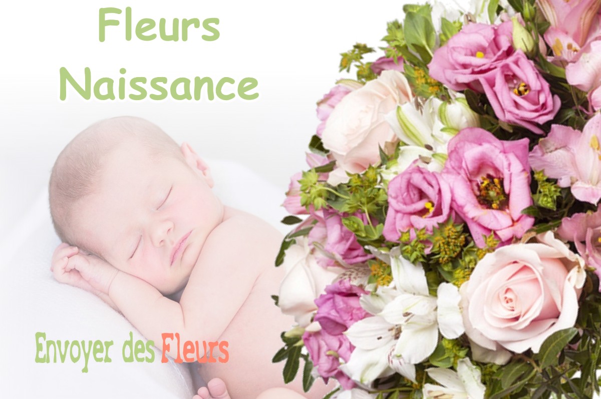 lIVRAISON FLEURS NAISSANCE à VITRY-AUX-LOGES